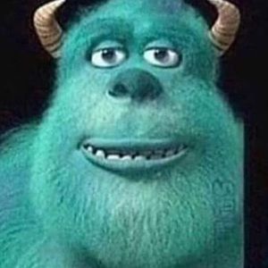 Meet your Posher, Leila